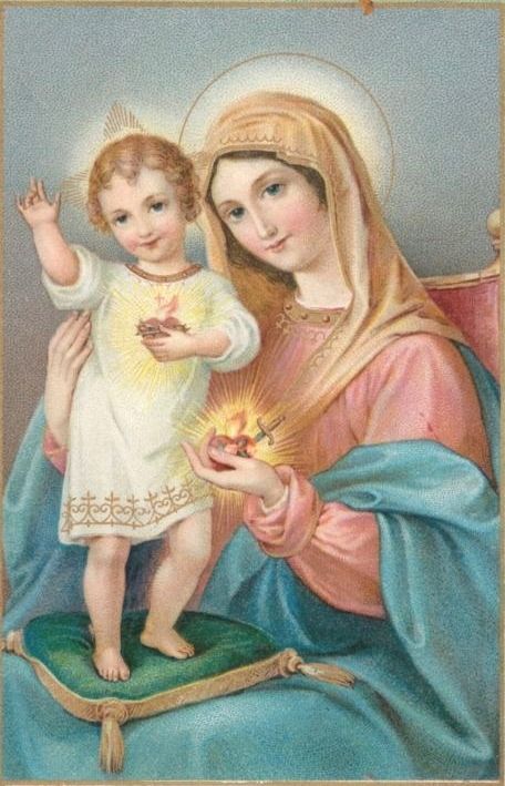 maternita